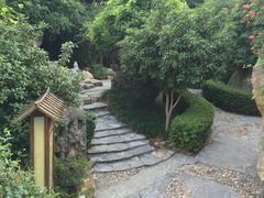 -金孔雀温泉旅游度假村