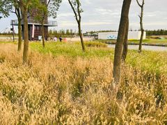 -春花秋色城市公园