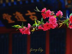 -北海公园