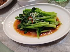 -老绍兴养和饭店(向阳不夜城店)