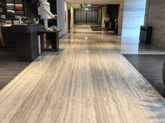 -新加坡乌节希尔顿酒店 (SG Clean)