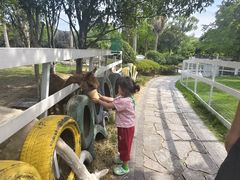 -宁波九龙湖开元度假村