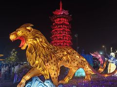 -洋湖国家湿地公园