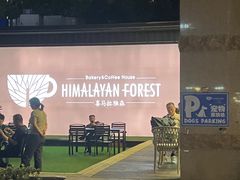 -喜马拉雅森HIMALAYAN FOREST