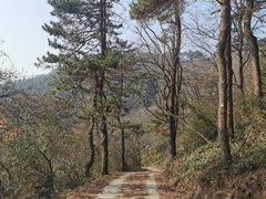 -莫干山风景区