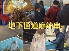 -辽宁省实验中学