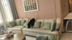 -杭州米兰柏羽医疗美容医院