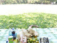 -华南国家植物园-售票处