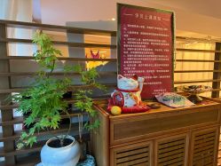 -皇冠瑜伽·普拉提·疼痛康复