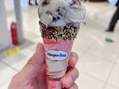 -哈根达斯(陆家浜路店)