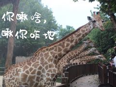 -上海野生动物园