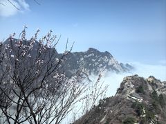 -华山风景名胜区