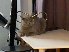 -壹人壹像工作室(购物公园店)