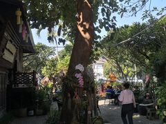 -清迈女子监狱马杀鸡(无分店)