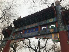 -北京国子监胡同