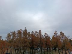 -牛岗山公园