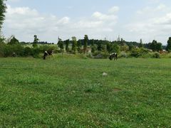 -云漫湖生态度假公园