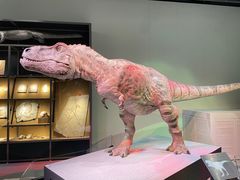 -香港科学馆