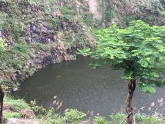 -火炉山森林公园