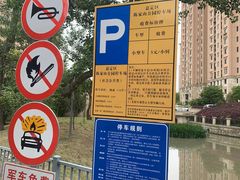 -陈家山荷花公园