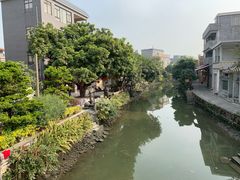 -贞姨芝麻糊