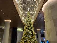 -味餐厅·海鲜·火锅·自助餐