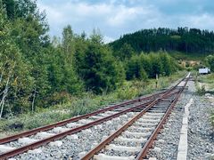 -莫尔道嘎国家森林公园