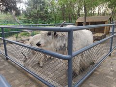 -长白岛森林公园