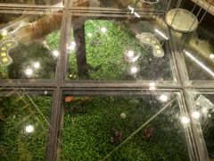 -酒肉行·虎子盐筋烤肉(大寨路店)