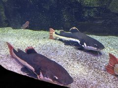 -泉城欧乐堡海洋极地世界