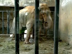 -石家庄市动物园