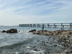-星海湾跨海大桥