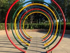 -大兴滨河森林公园