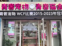 -青奢宠物·青奢猫舍