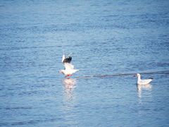 -铁路江上俱乐部