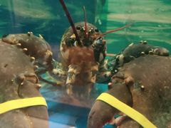-西村日本料理(香格里拉饭店)