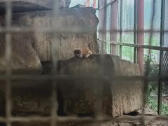 -河北村民俗体验园