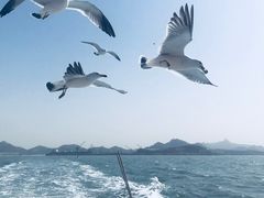 -海驴岛(荣成市)