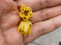 -荆州博物馆