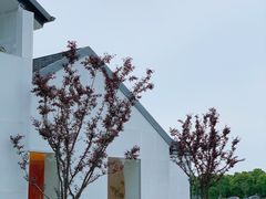 -苏州湾体育公园