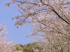 -含鄱口
