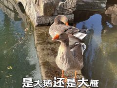 -卫巷菜馆(芙蓉总店)