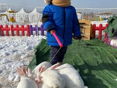 -绿野森林乐园冰雪季