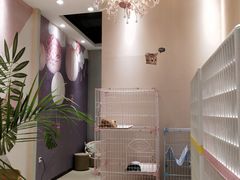 -藏猫猫咖啡主题馆(中央大道店)