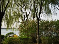 -丁香湖公园