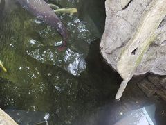 -青青世界