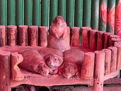 -杭州野生动物世界