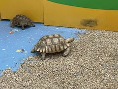 -齐齐哈尔龙沙动植物园