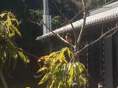-伊王岛温泉