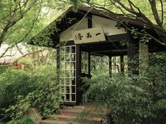 -中国茶叶博物馆(双峰馆区)